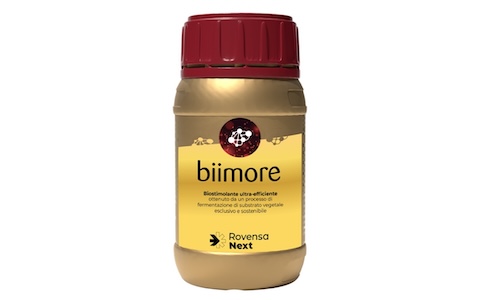 biimore-biostimolanti-cereali-grano-fonte-rovensa-next-redazionale-aprile2024-500x300.jpg